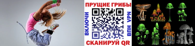 Купить где  Выборг  Галлюциногенные грибы GOLDEN TEACHER 
