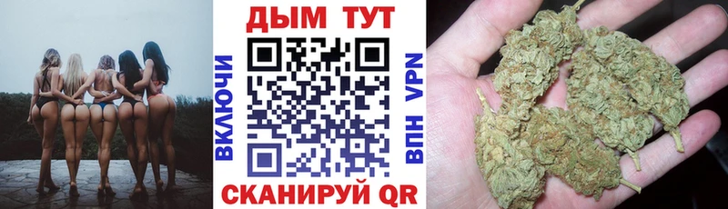 Шишки марихуана сатива  Купить закладки  Выборг 